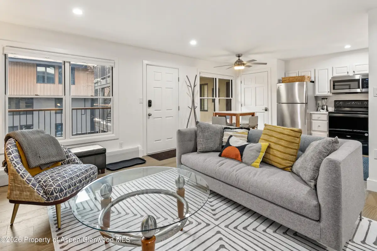 1020 E Durant Avenue #203, Aspen, CO 81611 - #1