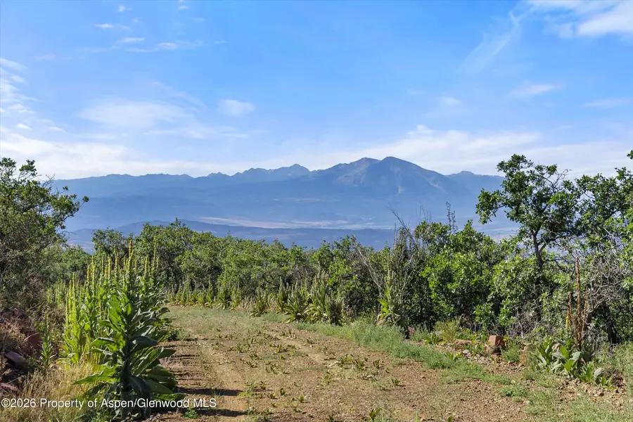 4080 County Road 121, Glenwood Springs, CO 81601 - #2