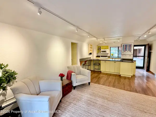1214 Vine Street #1214, Aspen, CO 81611