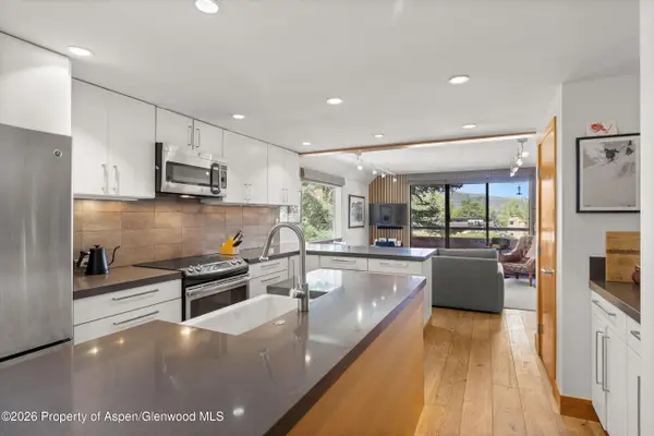 1221 Vine Street #1221, Aspen, CO 81611