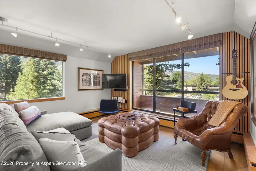 1221 Vine Street #1221, Aspen, CO 81611 - #2