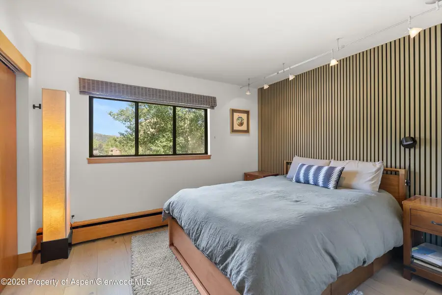 1221 Vine Street #1221, Aspen, CO 81611 - #3