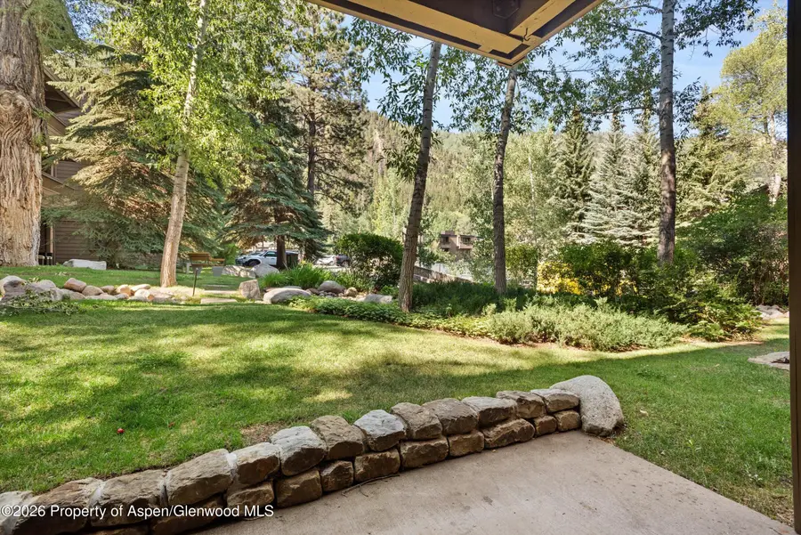 610 S West End Street #D105, Aspen, CO 81611 - #2