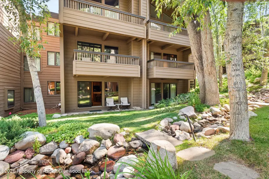 610 S West End Street #D105, Aspen, CO 81611 - #3