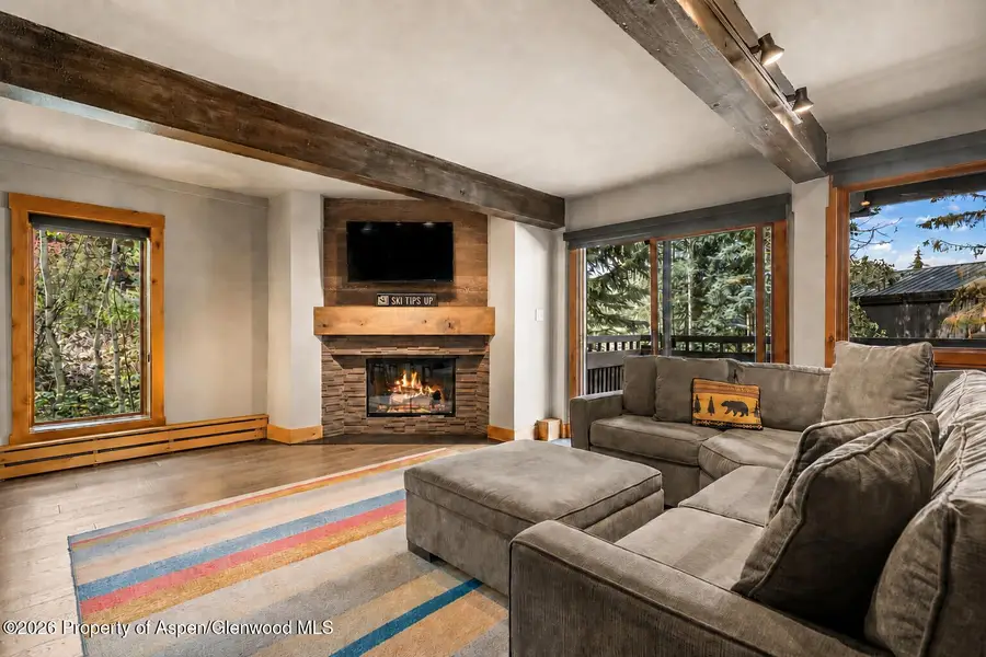 70 Gallun Lane #101-A, Snowmass Village, CO 81615 - #3