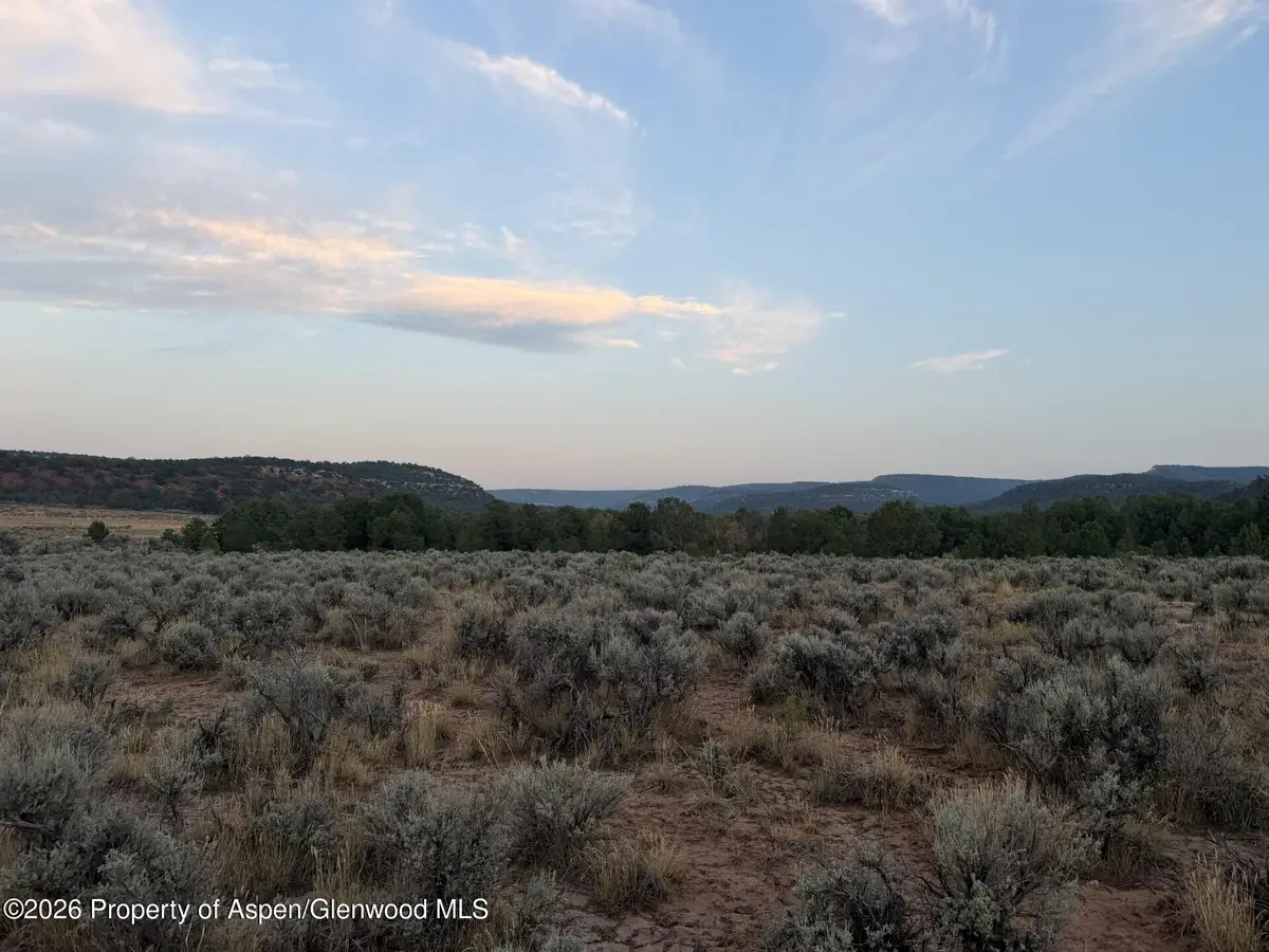 Tbd S 9 8/10 Road, Glade Park, CO 81523 - #1
