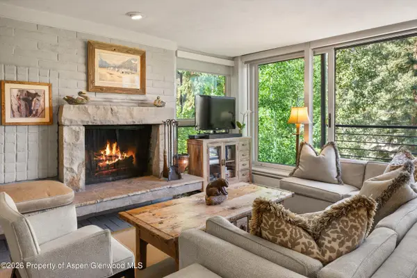 728 S Galena Street #202-B, Aspen, CO 81611