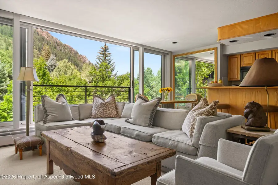 728 S Galena Street #202-B, Aspen, CO 81611 - #3