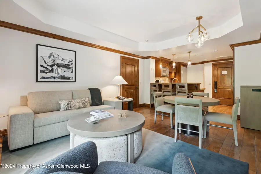 415 E Dean St, Unit 18, Week 28, Aspen, CO 81611 - #3