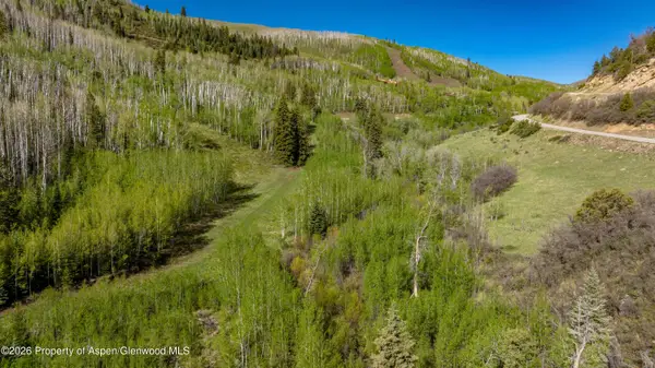 Tbd Forest Service Road 300 #East Ridge, Glenwood Springs, CO 81601