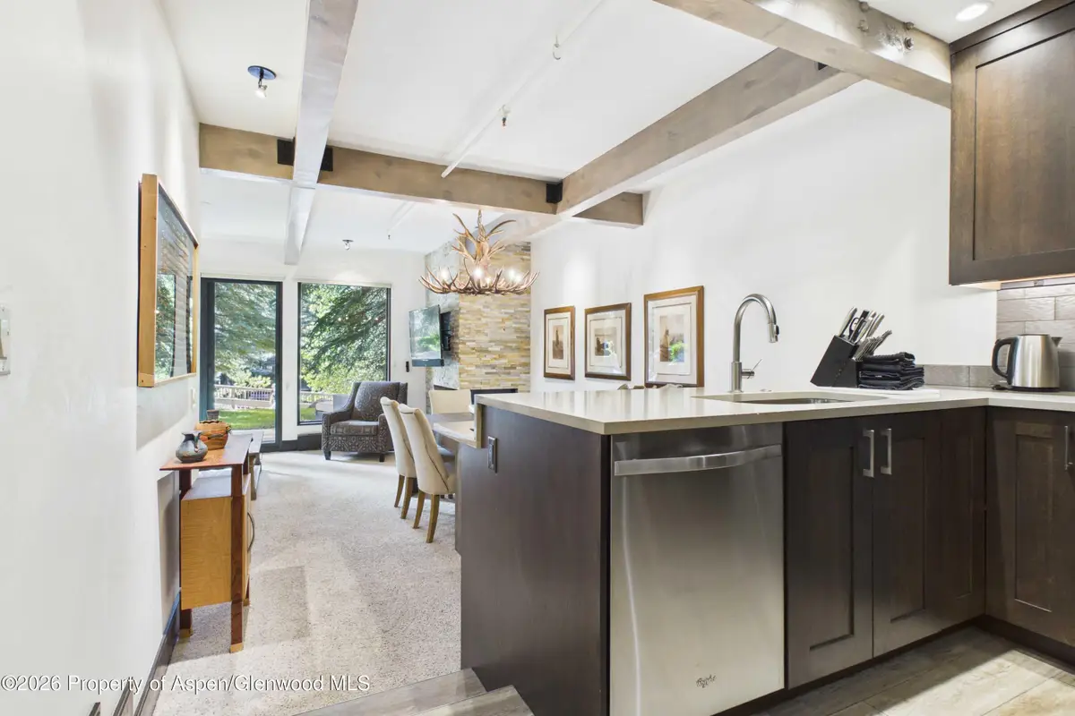 610 S West End Street #E103, Aspen, CO 81611 - #1