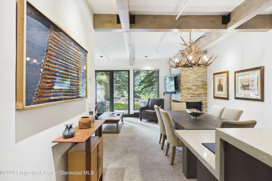610 S West End Street #E103, Aspen, CO 81611 - #2