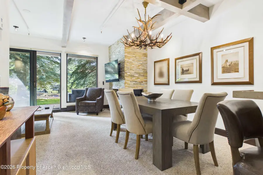 610 S West End Street #E103, Aspen, CO 81611 - #3