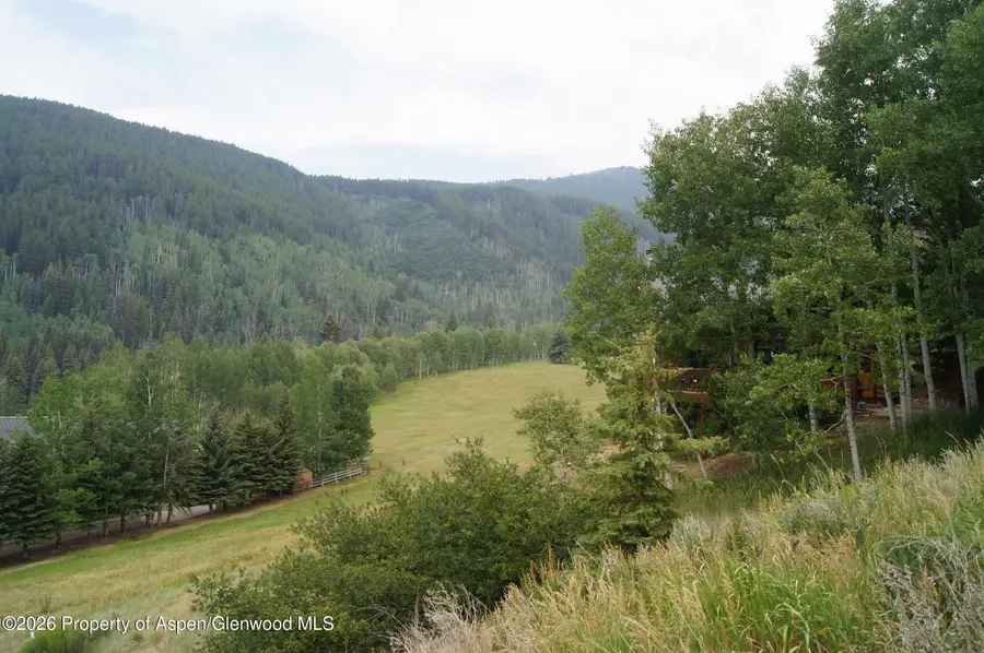 449 Mclaughlin Lane, Basalt, CO 81621 - #3