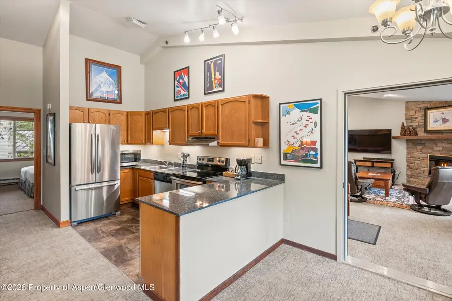 65 Campground Lane #54, Snowmass Village, CO 81615 - #3