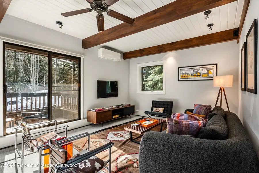 610 S West End Street #G204, Aspen, CO 81611 - #2