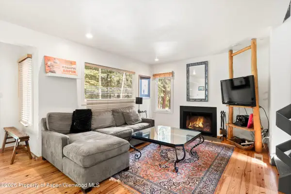 814 W Bleeker Street #B3, Aspen, CO 81611