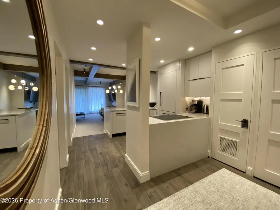 610 S West End Street #K203, Aspen, CO 81611 - #2