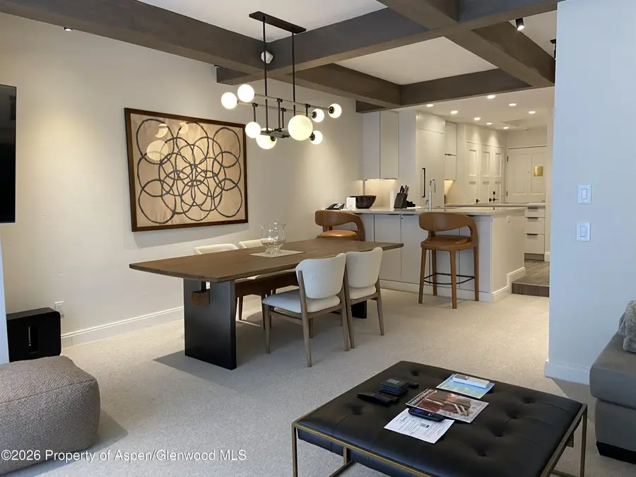 610 S West End Street #K203, Aspen, CO 81611 - #3