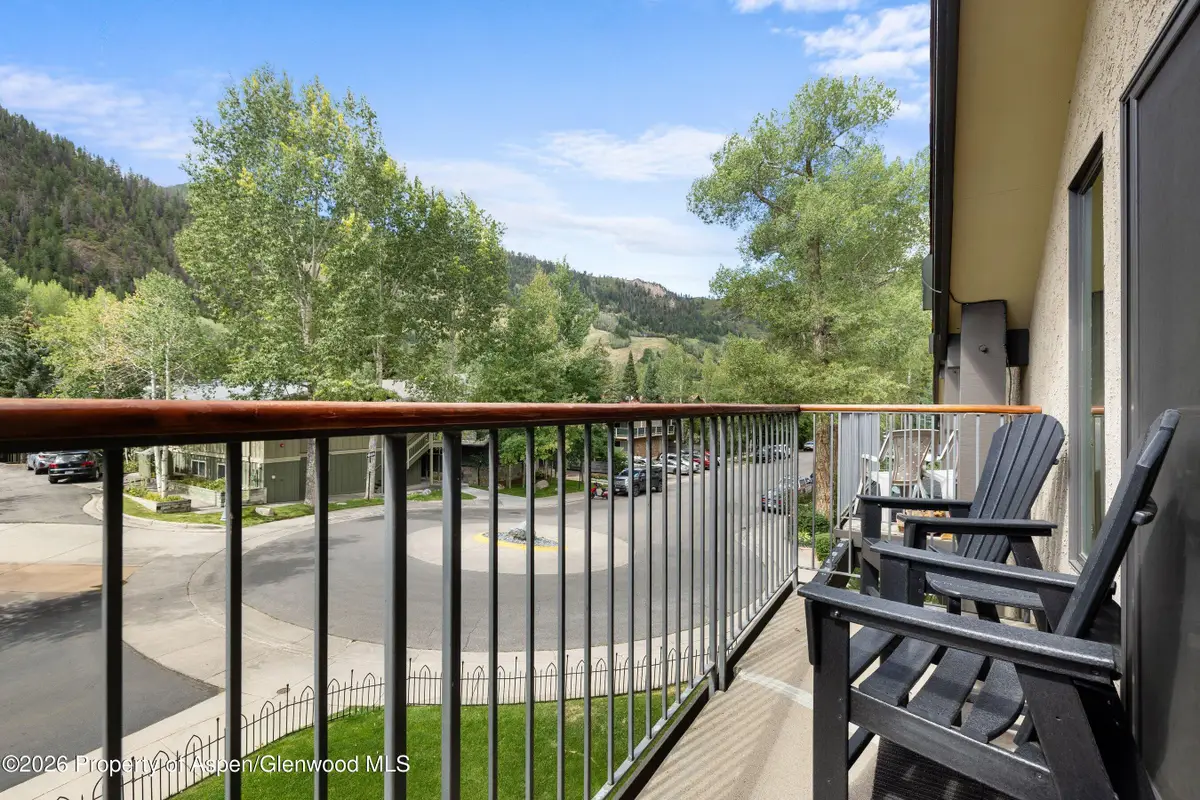 1020 E Durant Avenue #301, Aspen, CO 81611 - #1