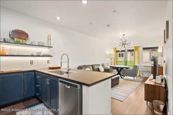1400 E Valley Road #110, Basalt, CO 81621