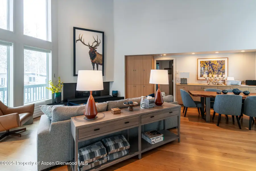 100 Mountain Laurel Court, Aspen, CO 81611 - #3