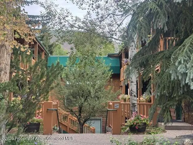914 Waters Avenue #Unit 8, Aspen, CO 81611 - #3