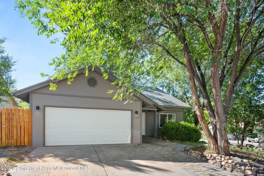 203 Lupine Drive, New Castle, CO 81647 - #2