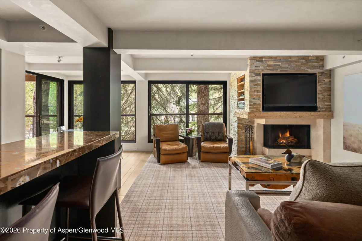 1034 E Cooper Avenue #26a, Aspen, CO 81611 - #1
