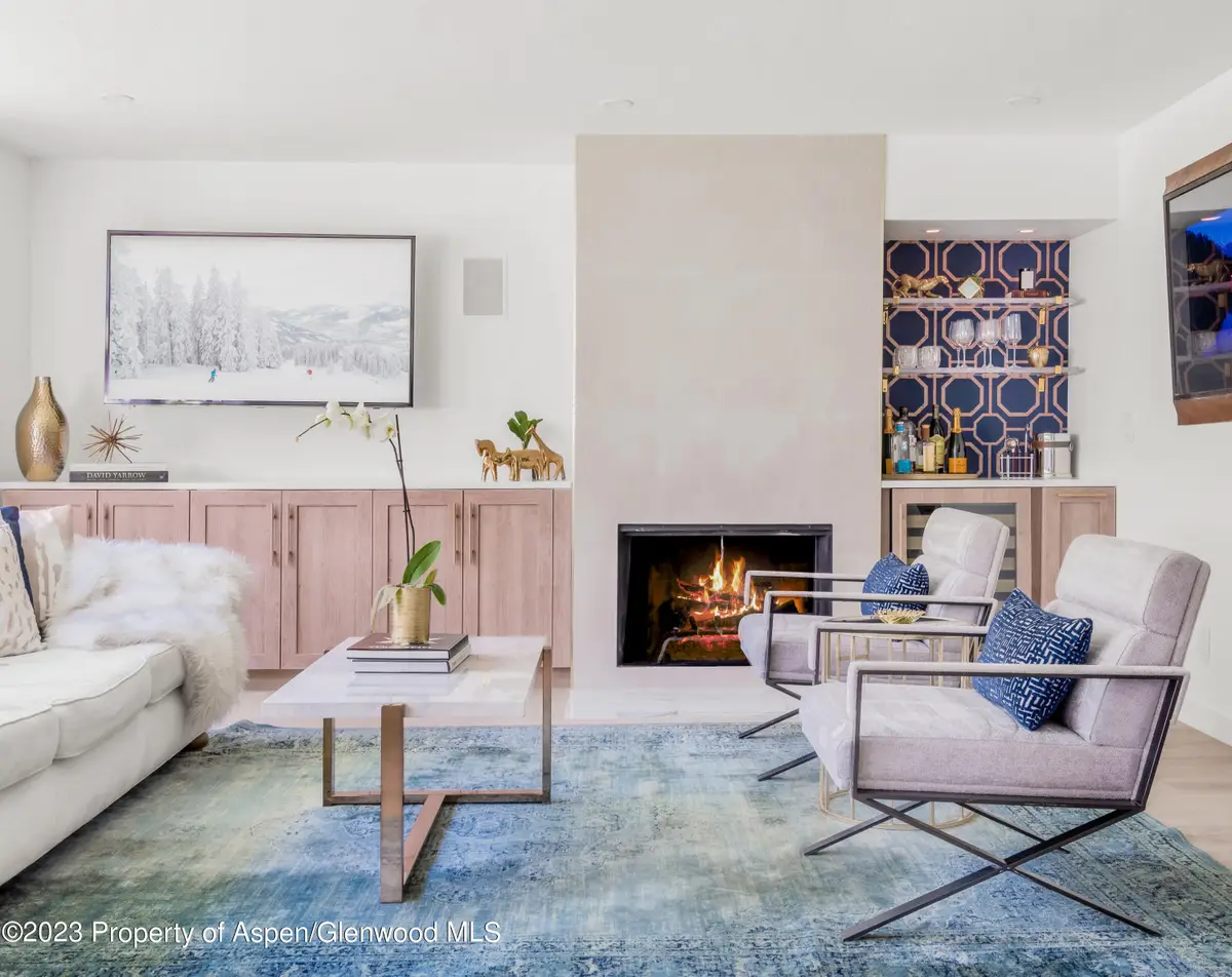 1020 E Durant Avenue #101, Aspen, CO 81611 - #1