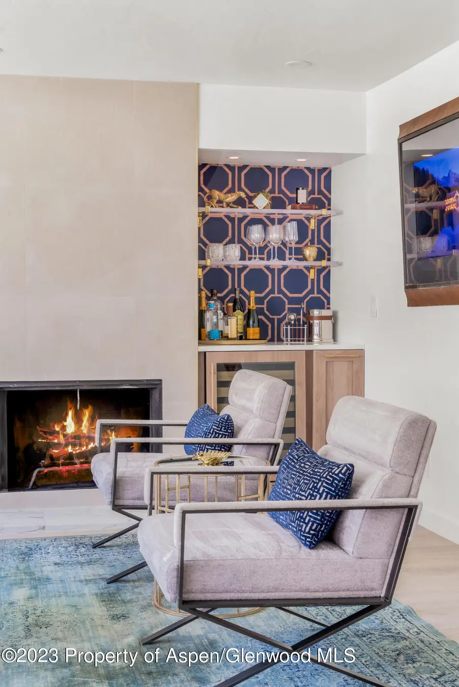 1020 E Durant Avenue #101, Aspen, CO 81611 - #2
