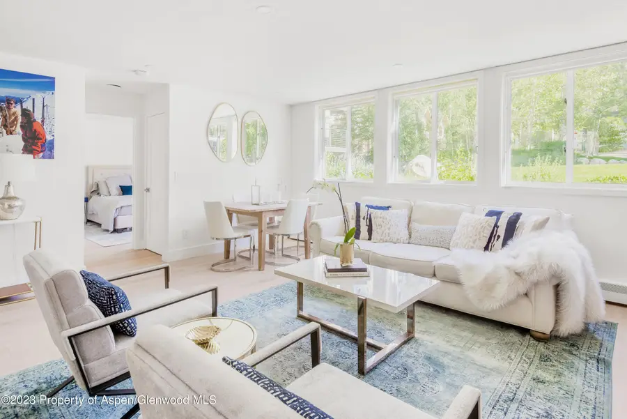 1020 E Durant Avenue #101, Aspen, CO 81611 - #3