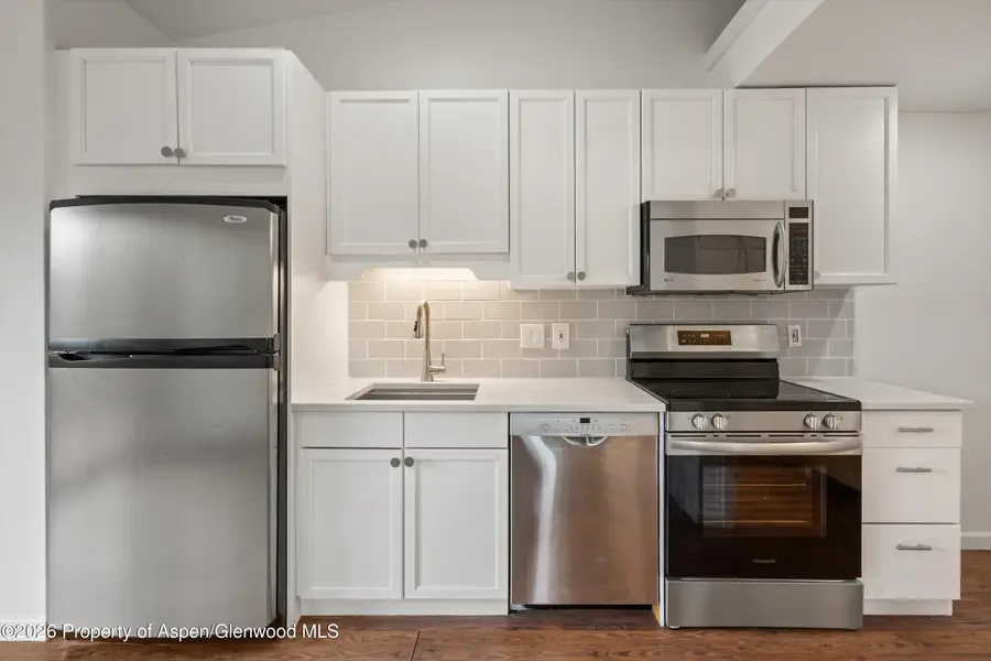 414 Pacific Avenue #G, Aspen, CO 81611 - #3