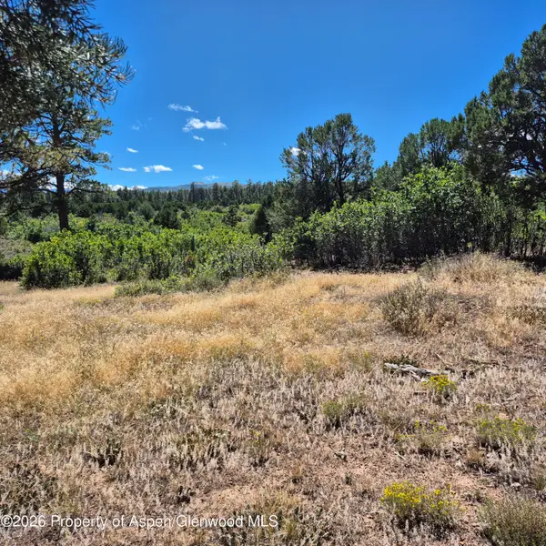 1620 Wildcat Canyon Road, Montrose, CO 81403