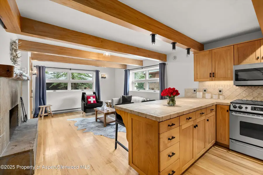 914 Waters Avenue #20, Aspen, CO 81611 - #2