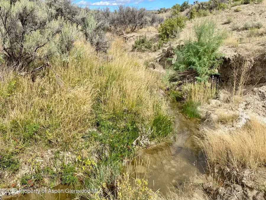 Tbd County Road 45 #Lot 6, Hamilton, CO 81638 - #3