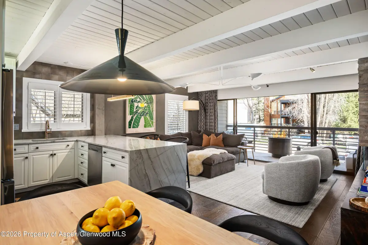 825 E Hopkins Avenue #2n, Aspen, CO 81611 - #1