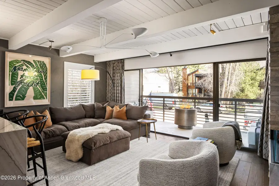 825 E Hopkins Avenue #2n, Aspen, CO 81611 - #3