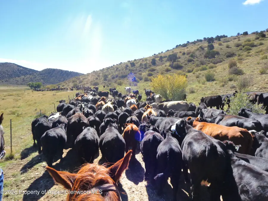 56495 Highway 318, Maybell, CO 81640 - #2