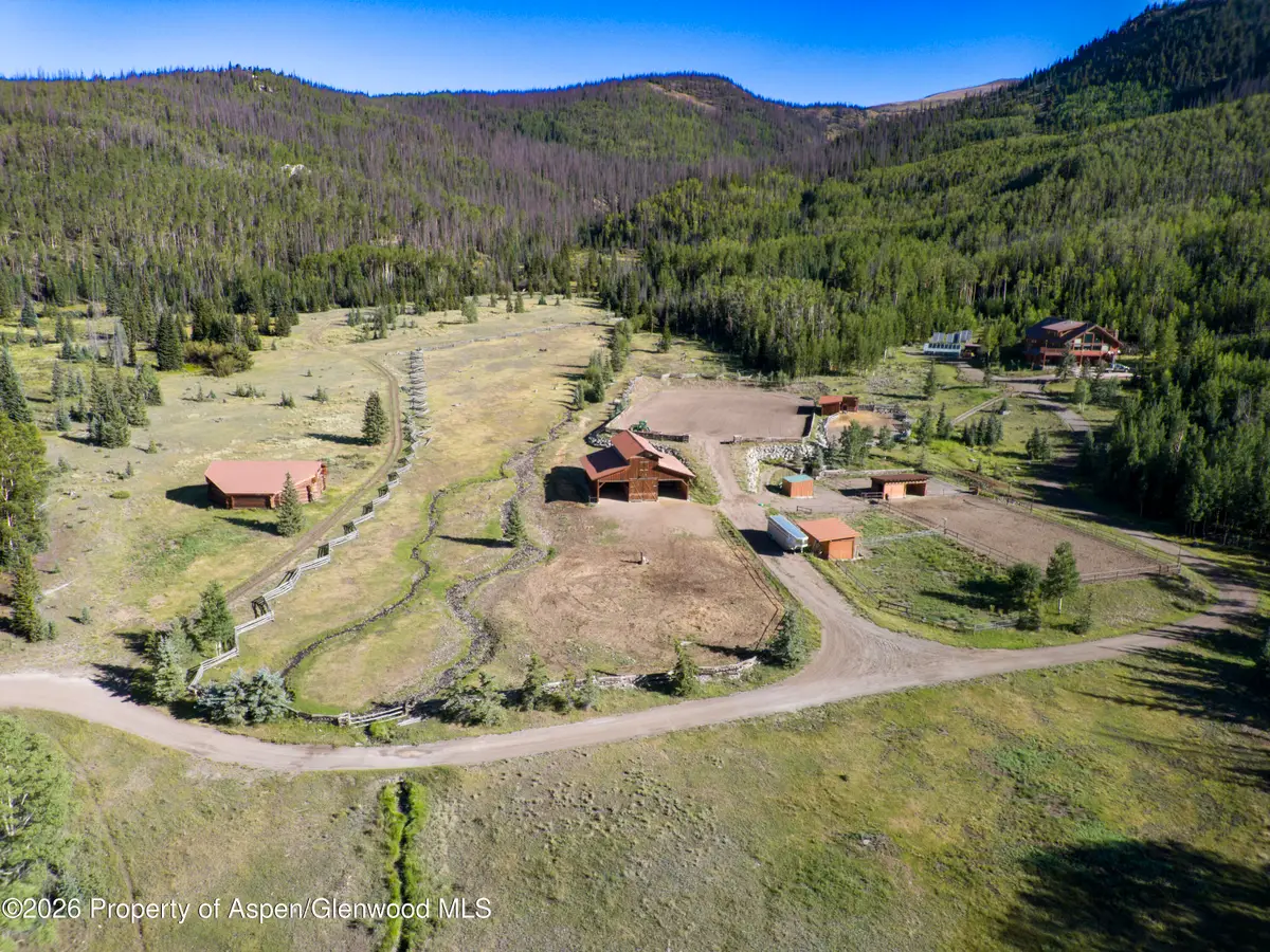 4320 Forest Road 503, Creede, CO 81130 - #1