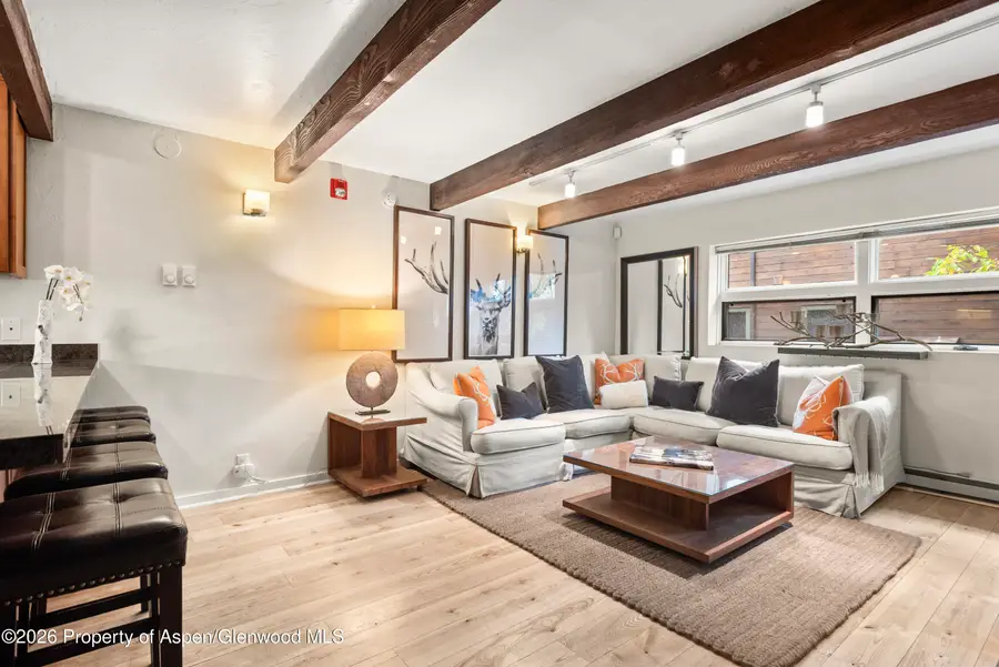 914 Waters Avenue #19, Aspen, CO 81611 - #2