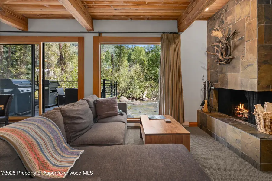 1039 E Cooper Avenue #21a, Aspen, CO 81611 - #3