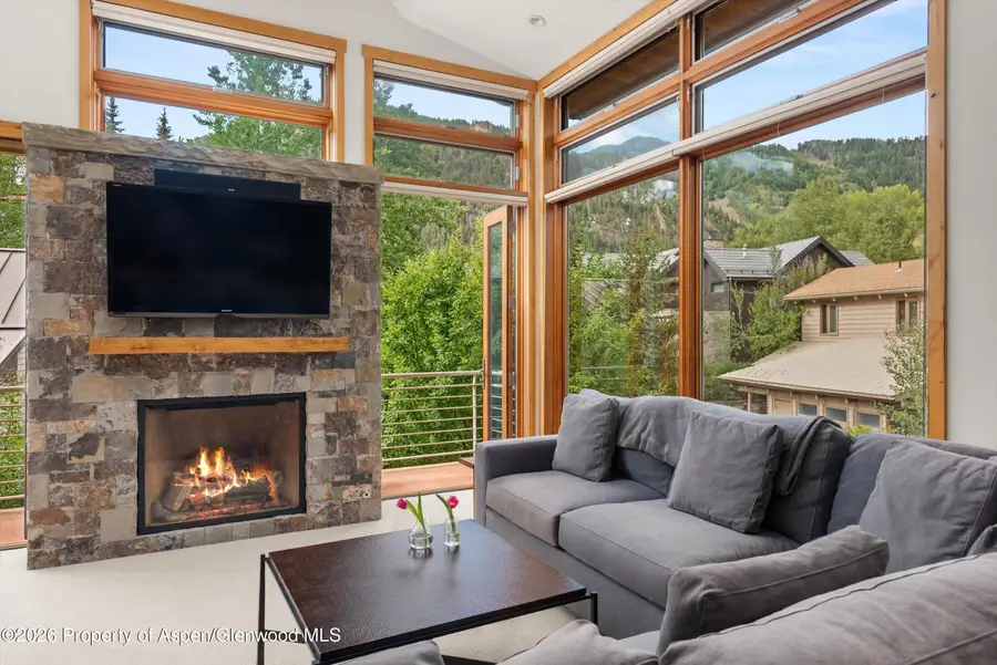 115 Park Avenue, Aspen, CO 81611 - #3