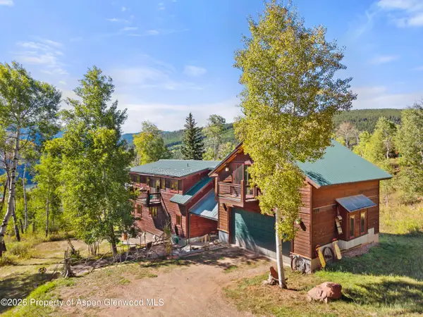 372 Hawk Lane, Basalt, CO 81621