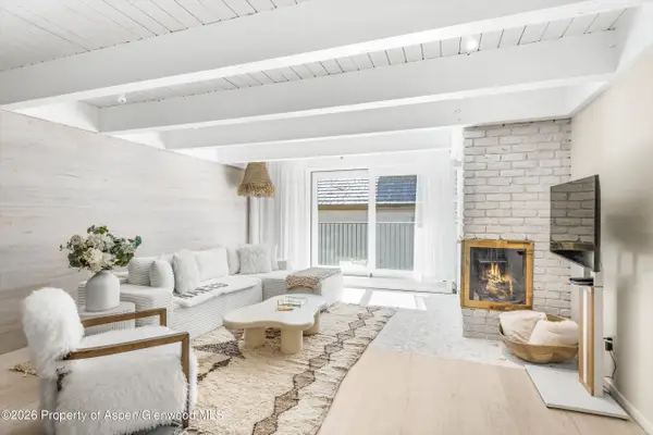 901 E Hyman Avenue #14, Aspen, CO 81611