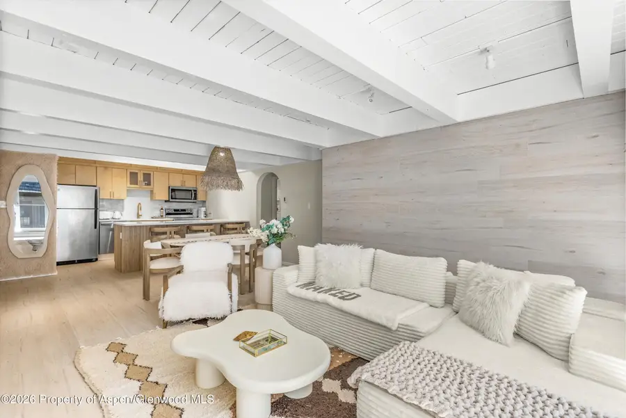 901 E Hyman Avenue #14, Aspen, CO 81611 - #2