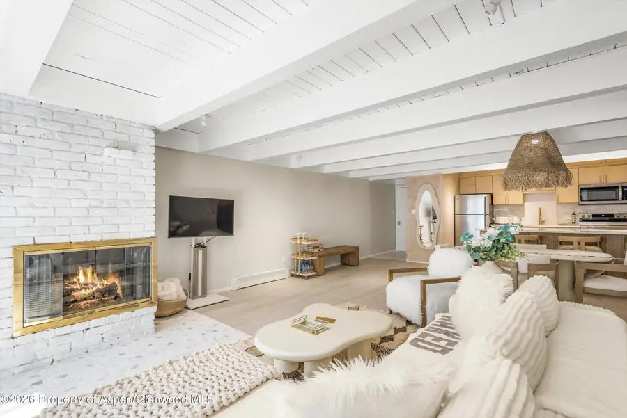 901 E Hyman Avenue #14, Aspen, CO 81611 - #3