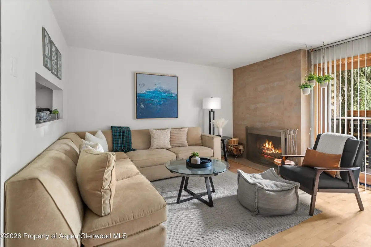 910 W Hallam Street #8, Aspen, CO 81611 - #1