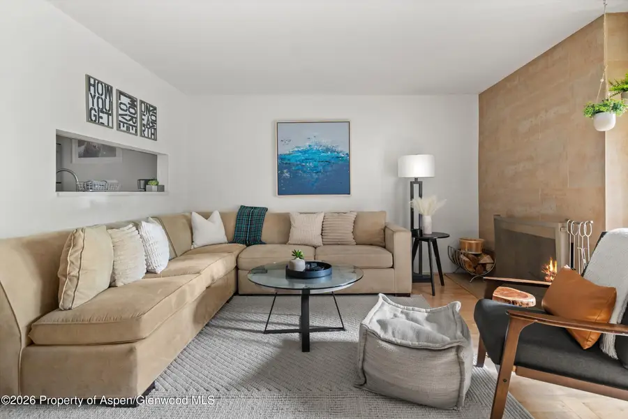910 W Hallam Street #8, Aspen, CO 81611 - #3