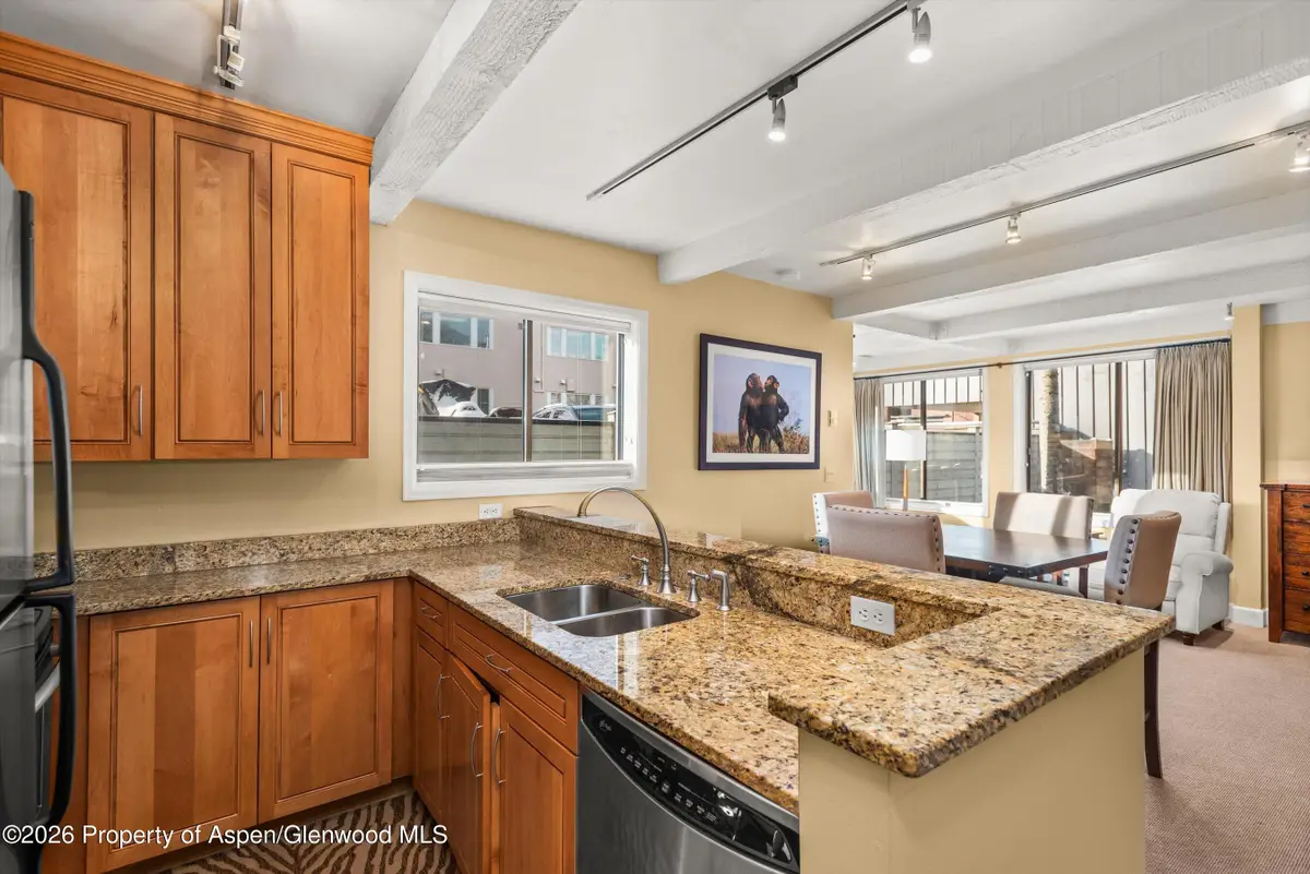 709 E Main Street #201, Aspen, CO 81611 - #1